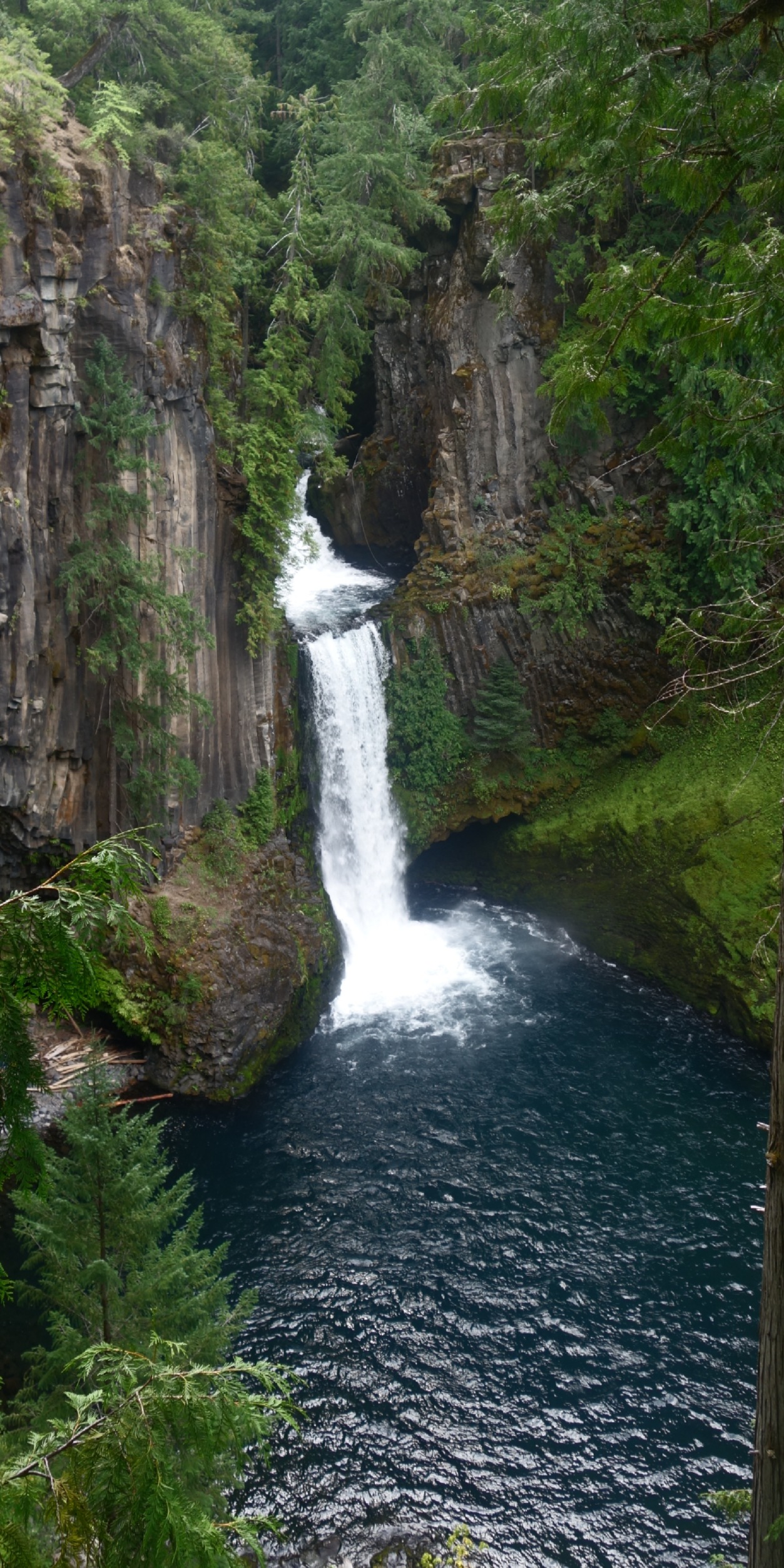 A waterfall pours into a small lake surrounded by pine forests