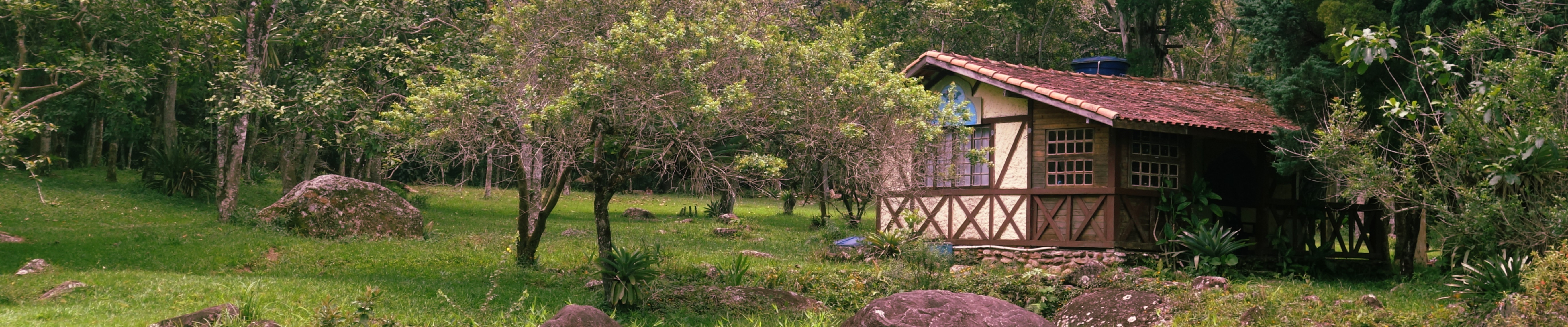 Introducing the Critical Moment