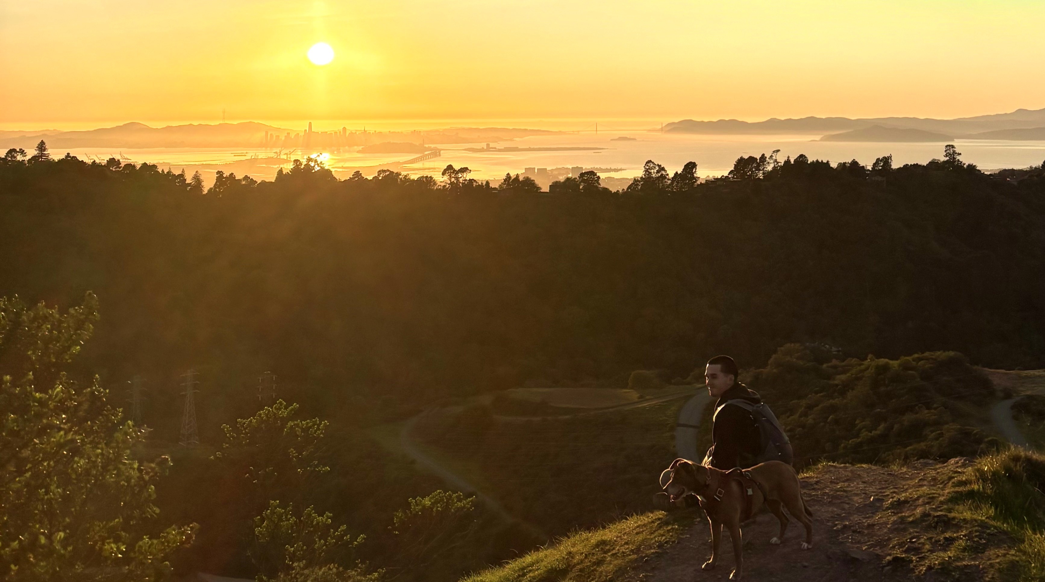 A man and his dog looking over the Oakland hills at sunset